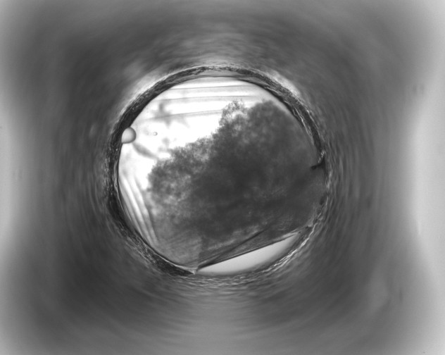 X0000084521263200703161541