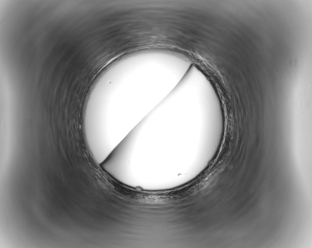 X0000084521265200703161541