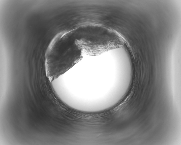 X0000084521267200703161541