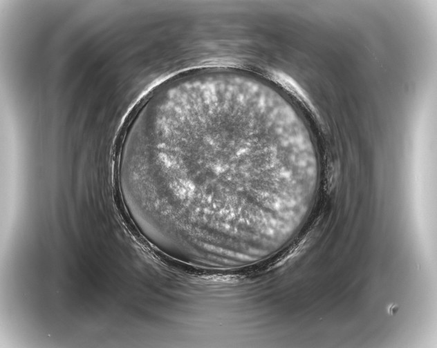 X0000084521268200703161541