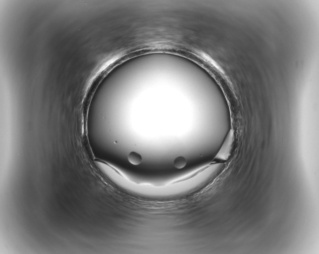 X0000084521269200703161540