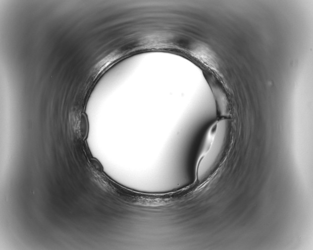 X0000084521273200703161540