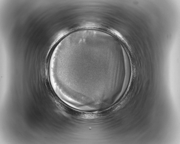 X0000084521274200703161540