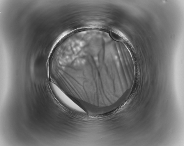 X0000084521275200703161540