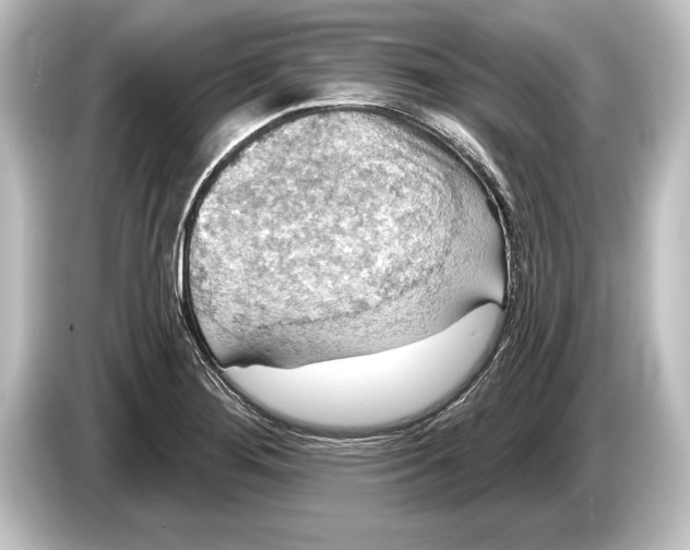 X0000084521276200703161540