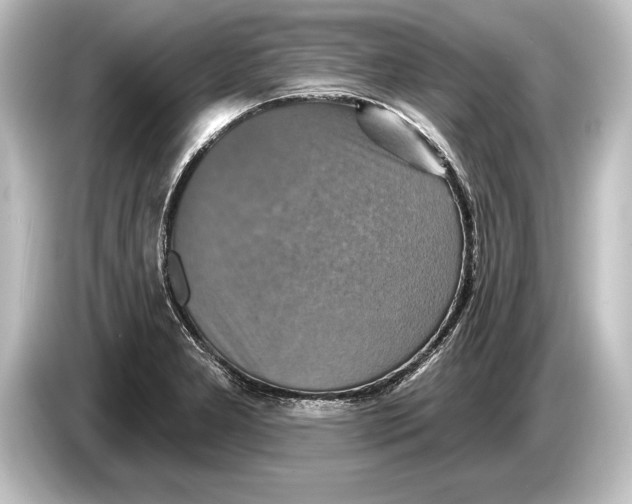 X0000084521277200703161540