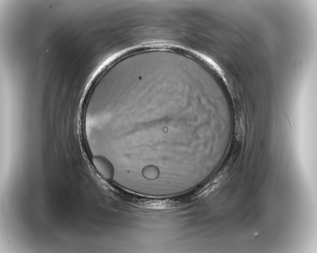 X0000084521279200703161540