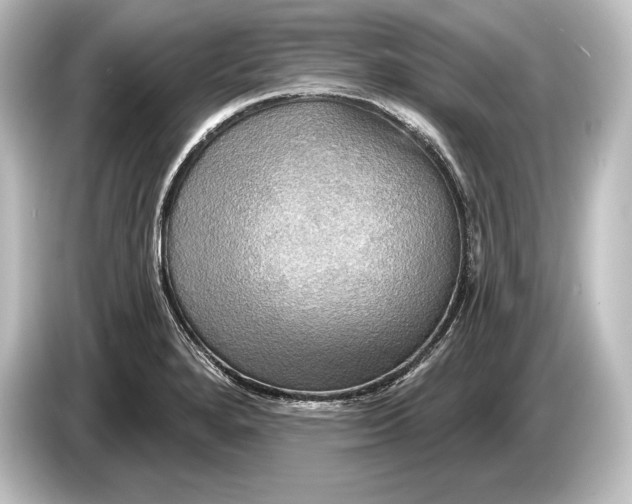 X0000084521280200703161540