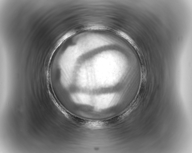 X0000084521282200703161540