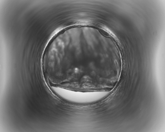 X0000084521283200703161540