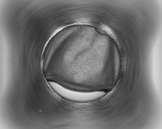 X0000084521284200703161540