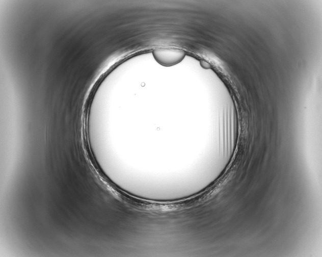 X0000084521286200703161540