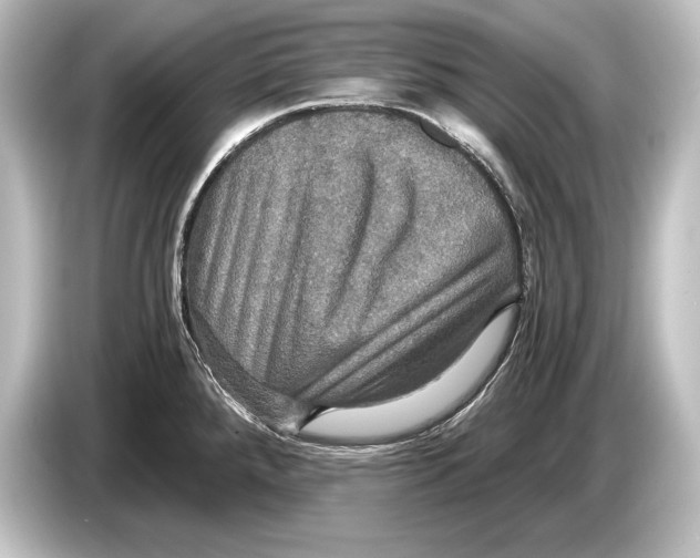 X0000084521288200703161540