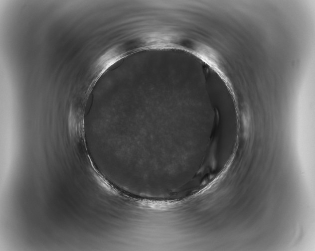 X0000084521289200703161540