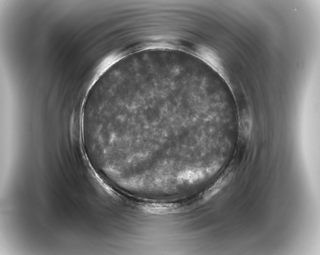 X0000084521290200703161540