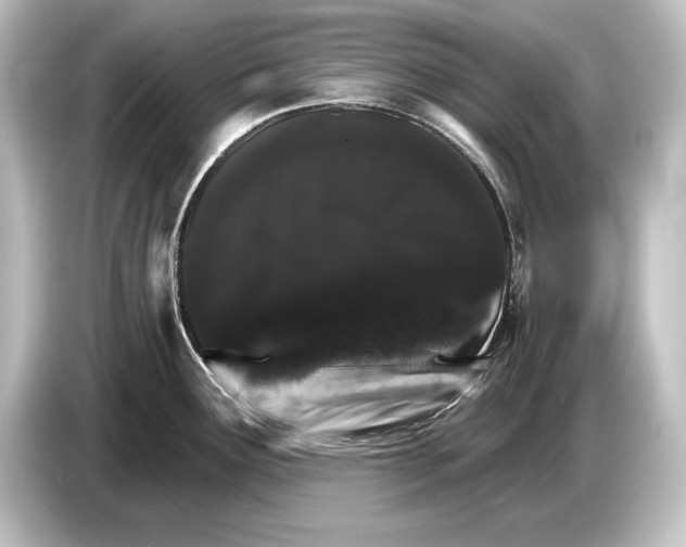 X0000084521291200703161540