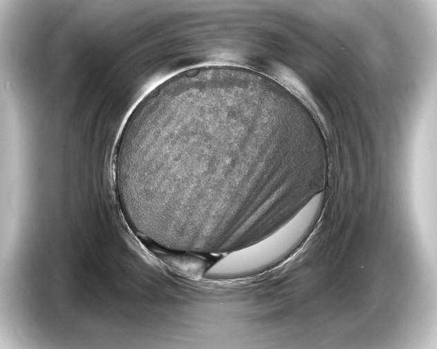 X0000084521292200703161540