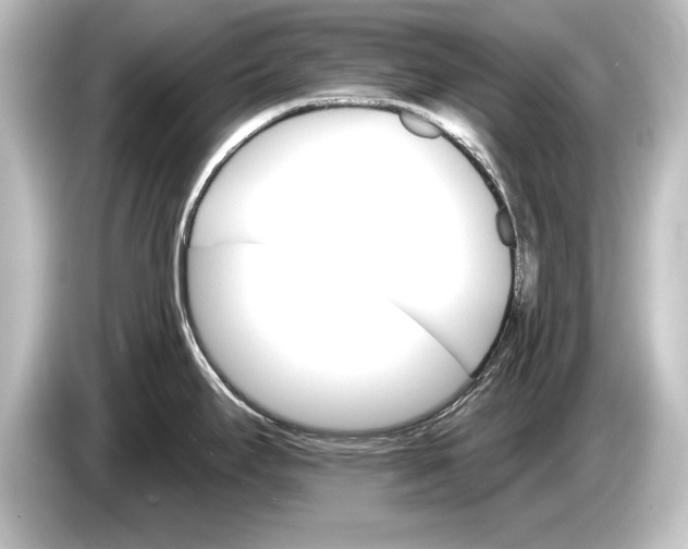 X0000084521295200703161540