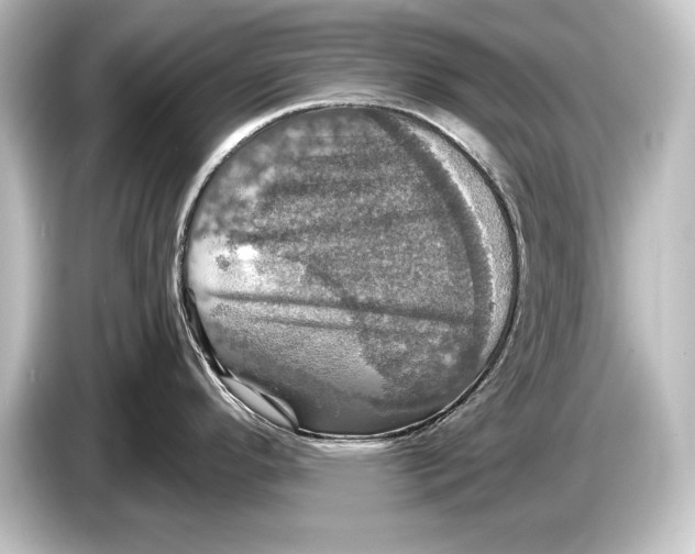 X0000084521296200703161540