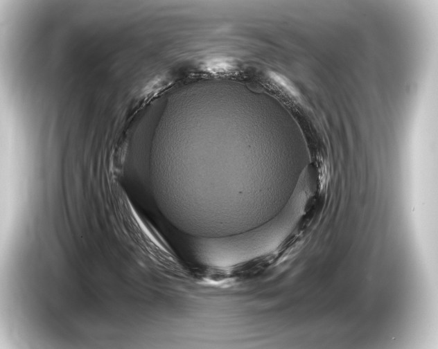 X0000084521298200703161539