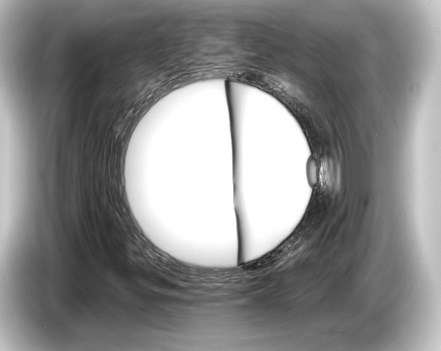 X0000084521299200703161539