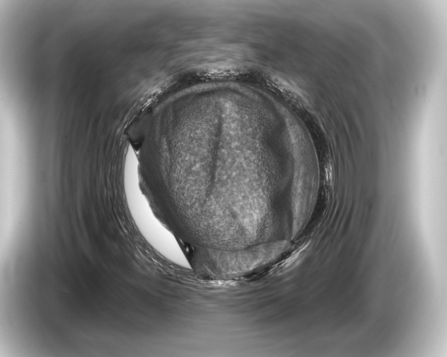 X0000084521300200703161539