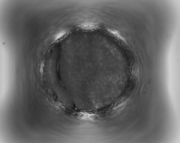 X0000084521301200703161539