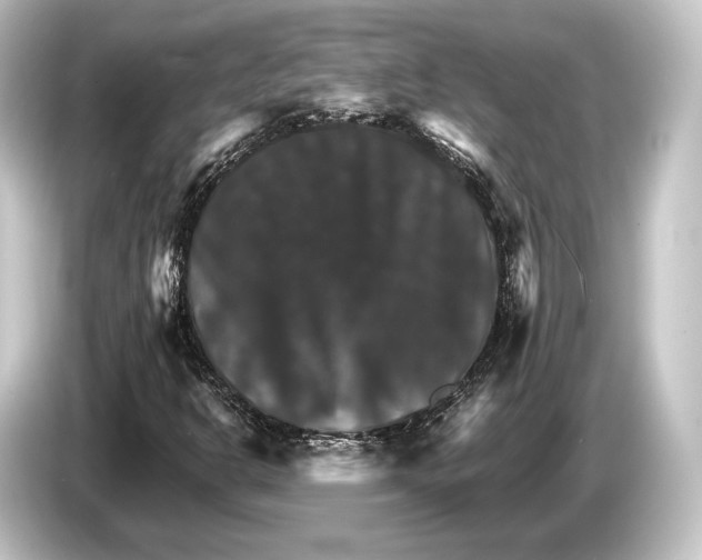 X0000084521302200703161539