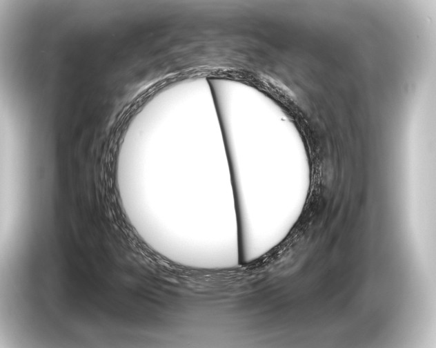 X0000084521303200703161540