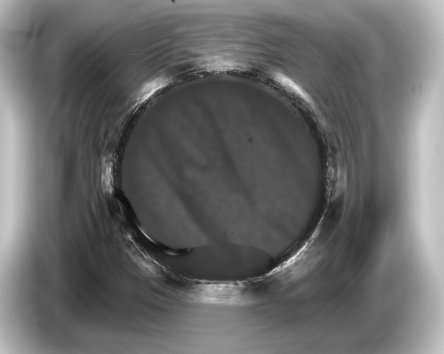 X0000084521305200703161540