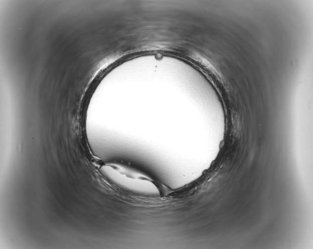 X0000084521308200703161540