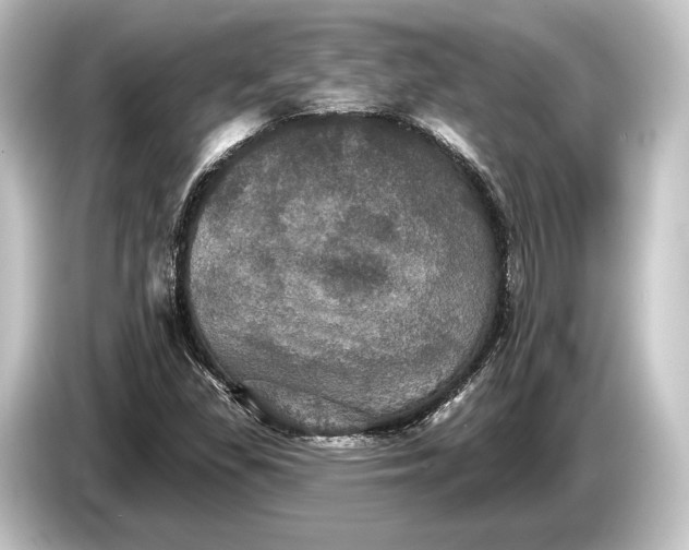 X0000084521309200703161540