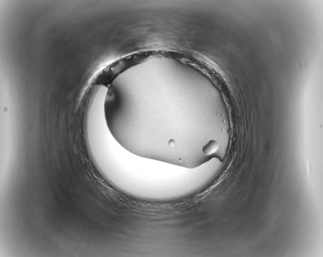 X0000084521310200703161540