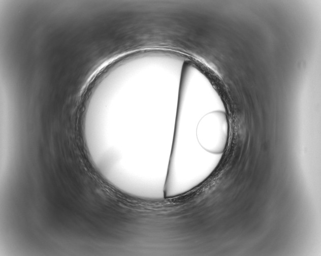 X0000084521311200703161540