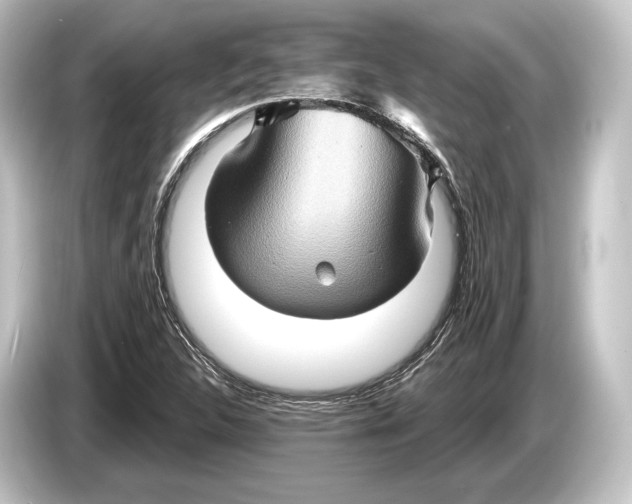 X0000084521312200703161540