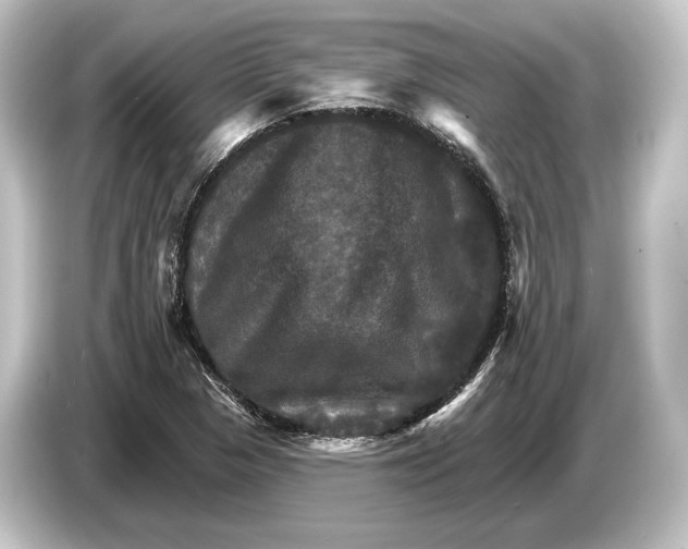 X0000084521313200703161540