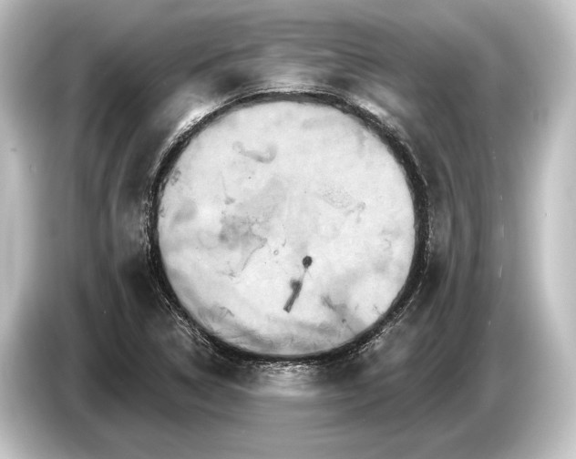 X0000084521314200703161540