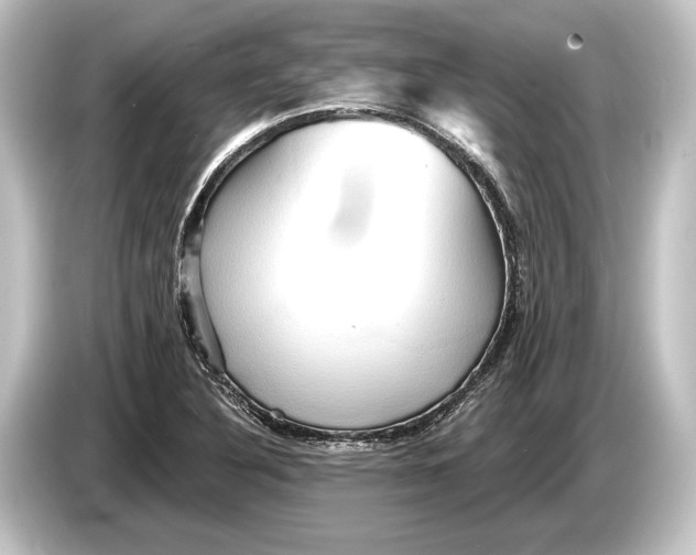 X0000084521316200703161540