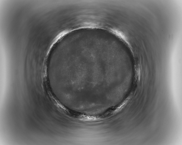 X0000084521318200703161540