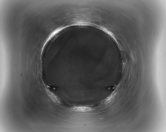 X0000084521319200703161540