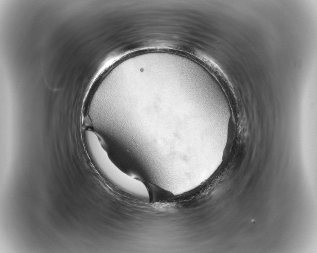 X0000084521324200703161540