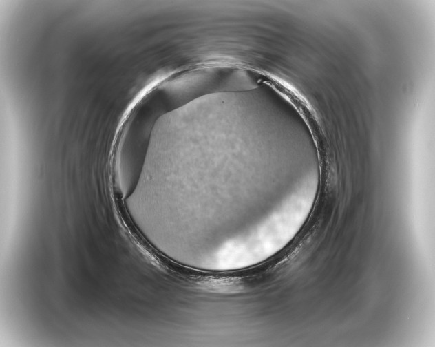 X0000084521325200703161540