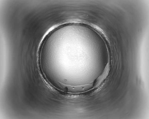 X0000084521326200703161540