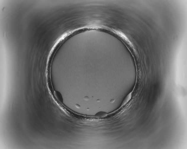 X0000084521327200703161540