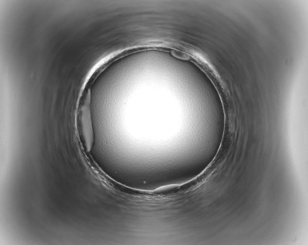 X0000084521328200703161540