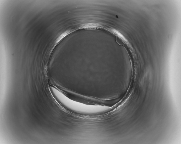 X0000084521329200703161540