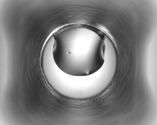 X0000084521332200703161540