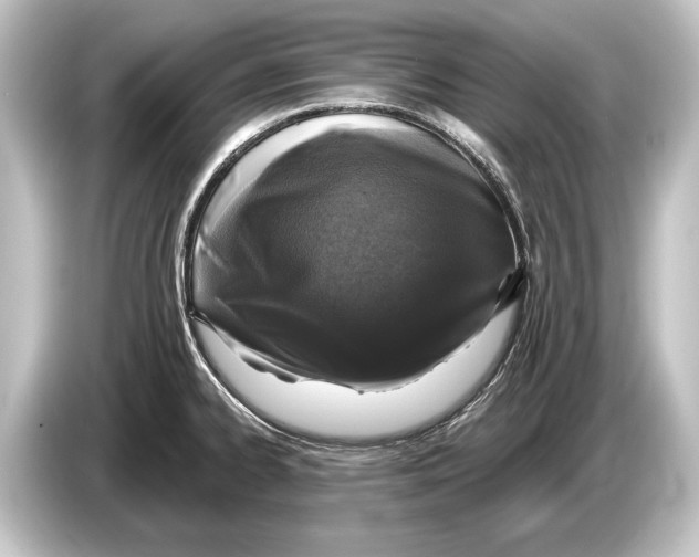 X0000084521334200703161540