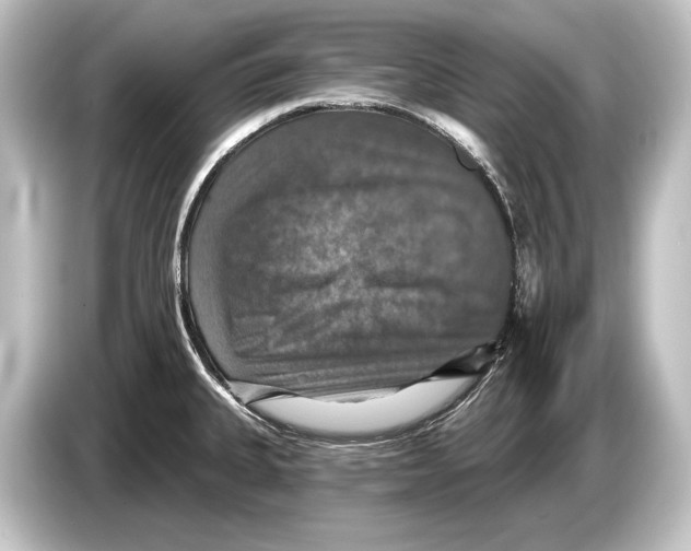 X0000084521335200703161540