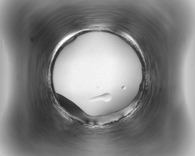 X0000084521336200703161540